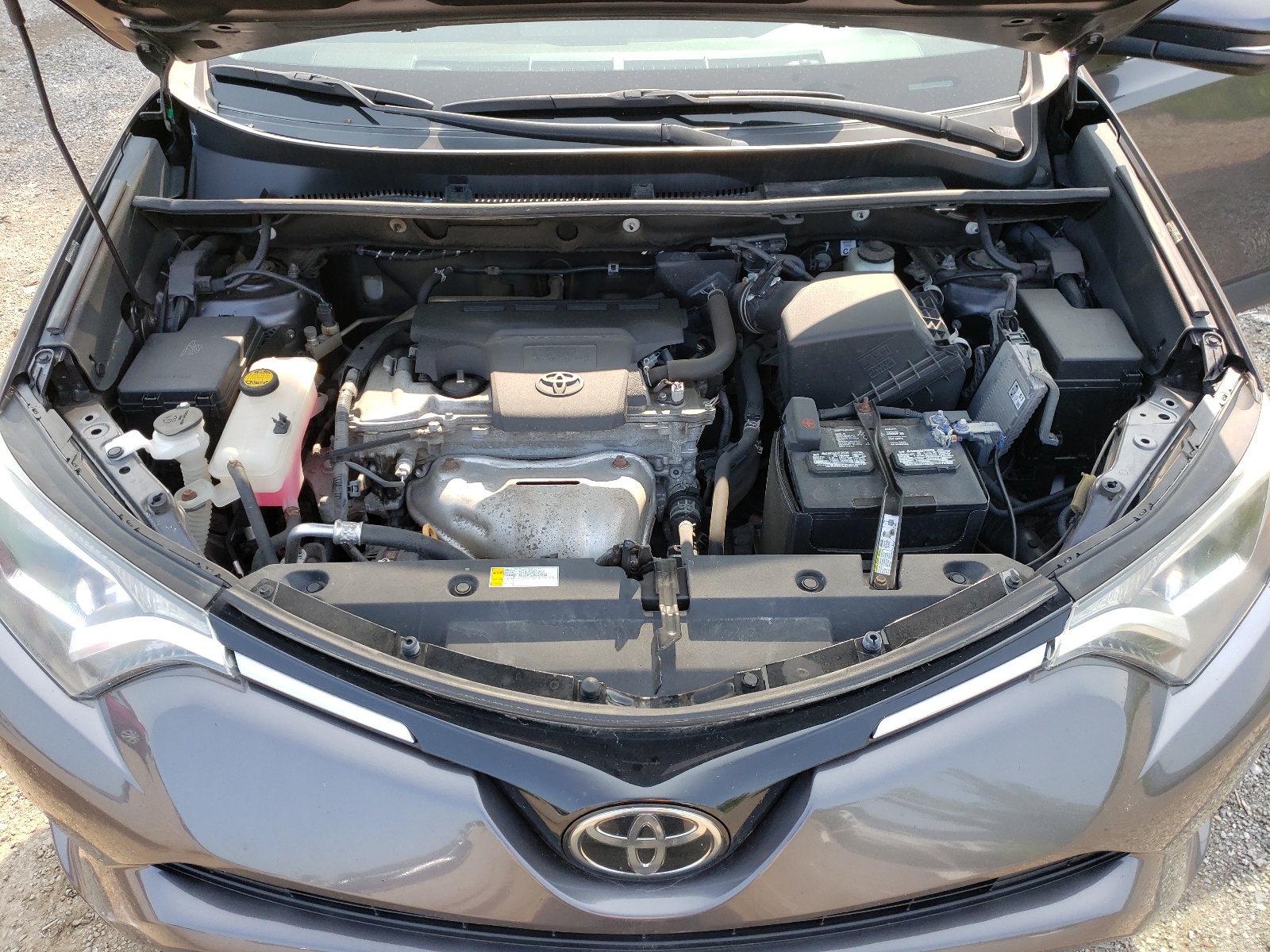 2T3ZFREV9HW366352 2017 Toyota Rav4 Le