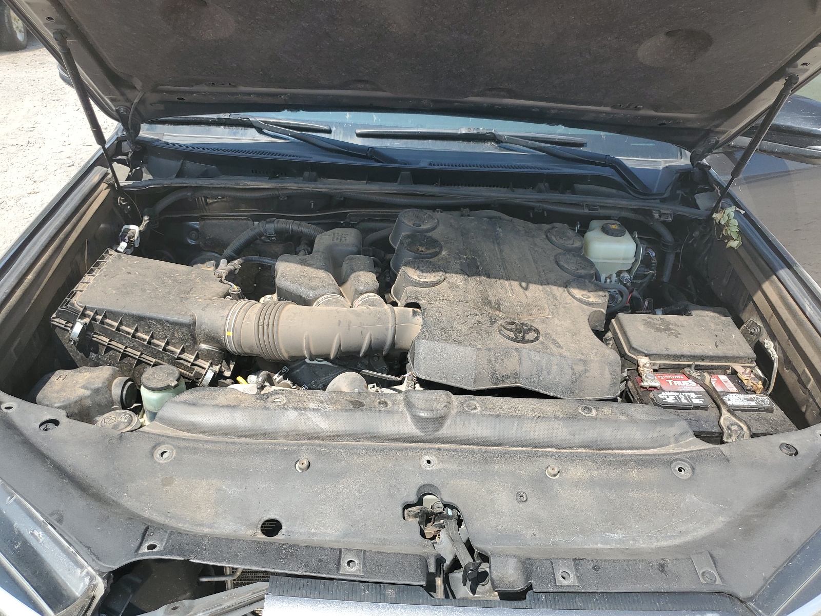 JTEBU5JR8K5698169 2019 Toyota 4Runner Sr5