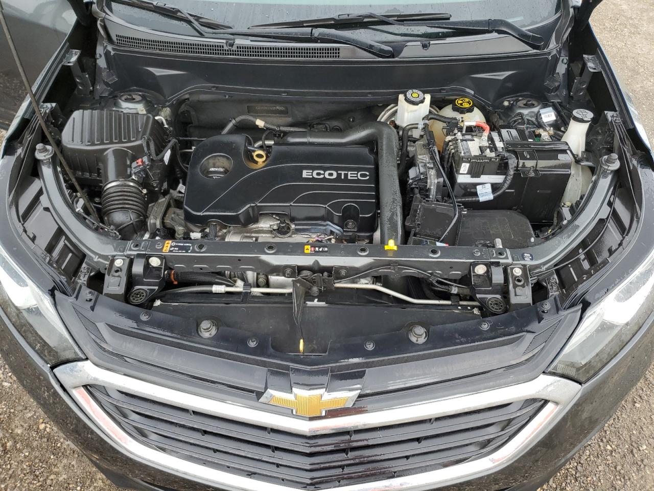 2018 Chevrolet Equinox Ls VIN: 3GNAXHEV1JS579763 Lot: 63744954