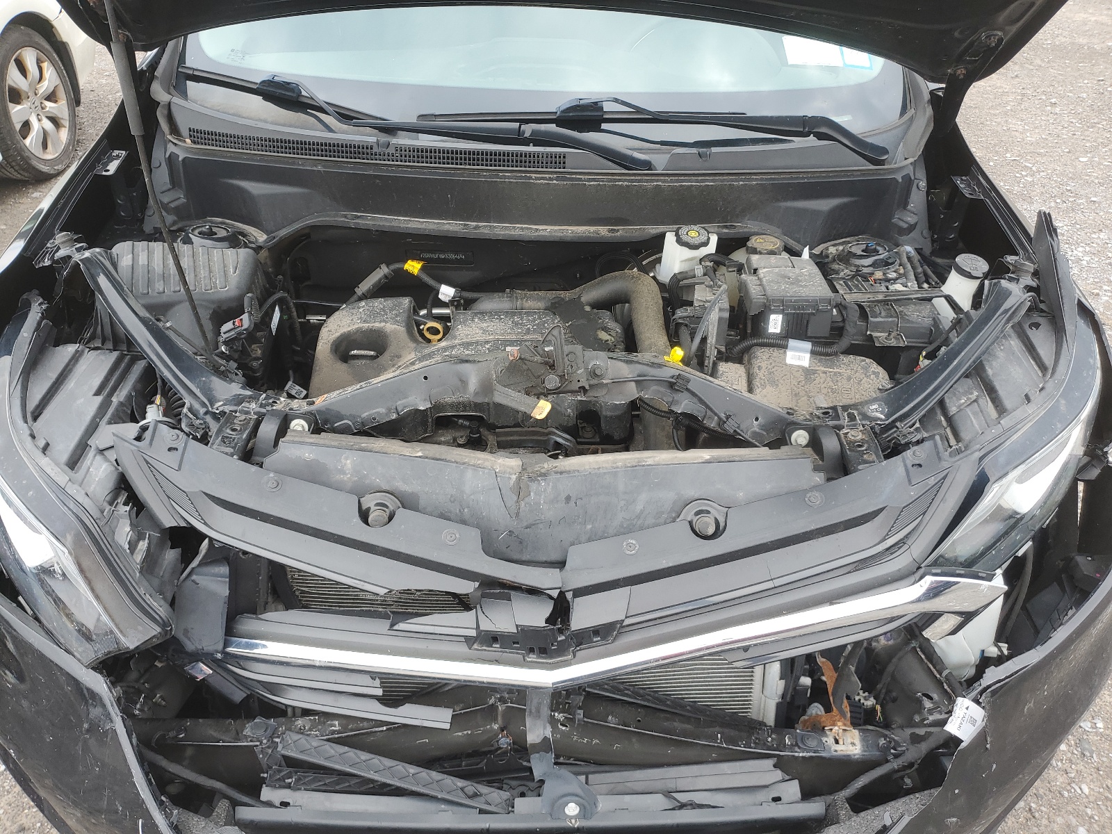 2GNAXUEV6K6306469 2019 Chevrolet Equinox Lt