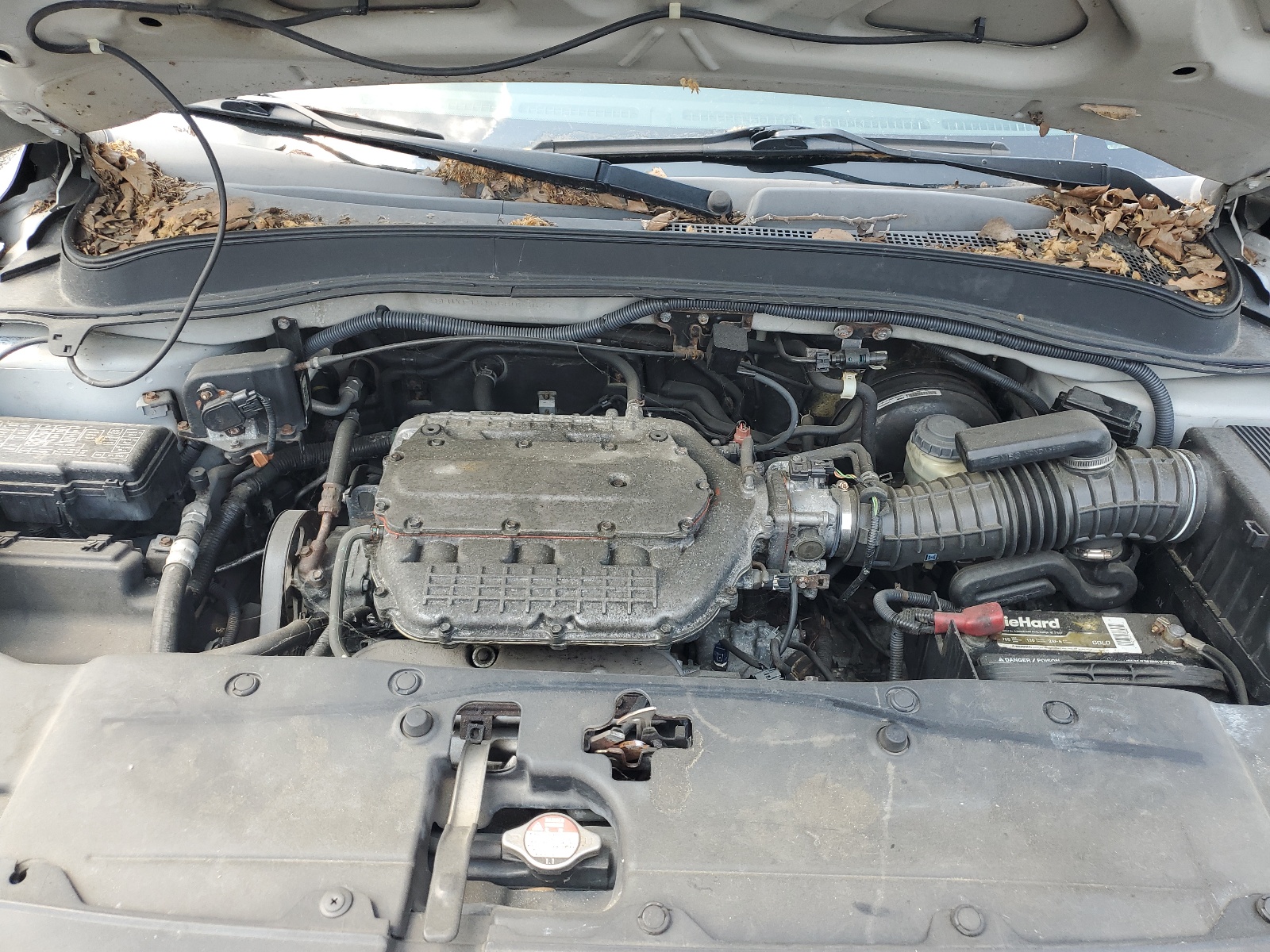 5FNYF18156B023627 2006 Honda Pilot Lx