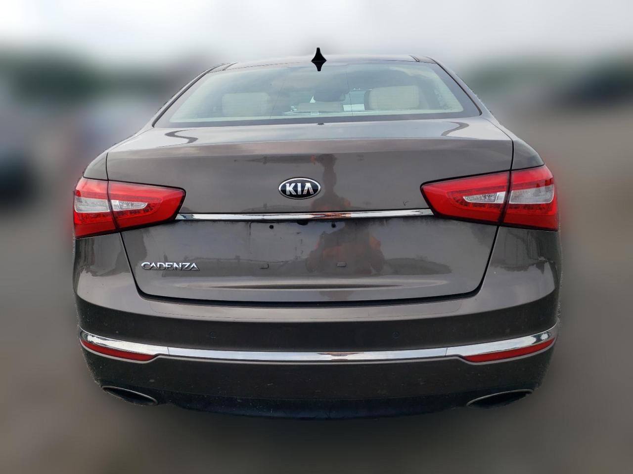2014 Kia Cadenza Premium VIN: KNALN4D74E5151234 Lot: 63960554