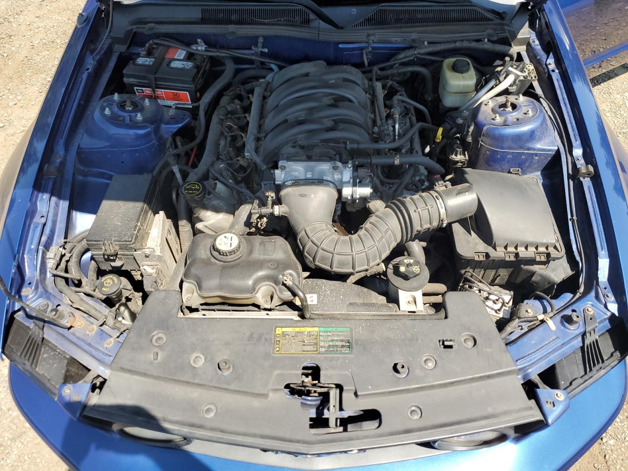 2006 Ford Mustang Gt VIN: 1ZVHT82H665194330 Lot: 63151064