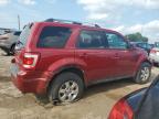 2010 Ford Escape Limited للبيع في Dyer، IN - Front End