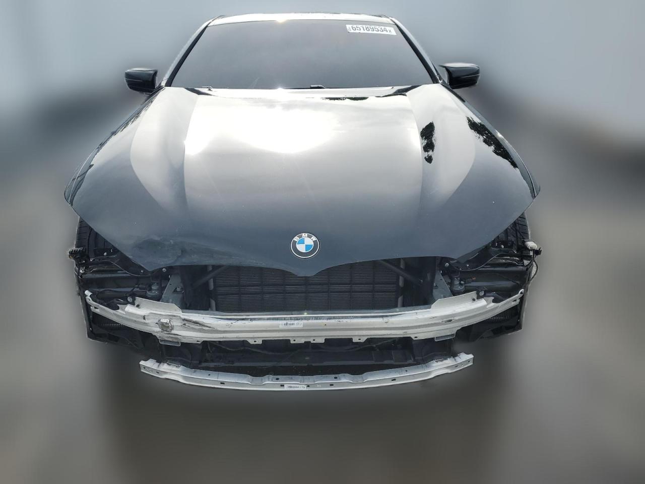 2024 BMW M850Xi VIN: WBABC4C09RCR84633 Lot: 65189534