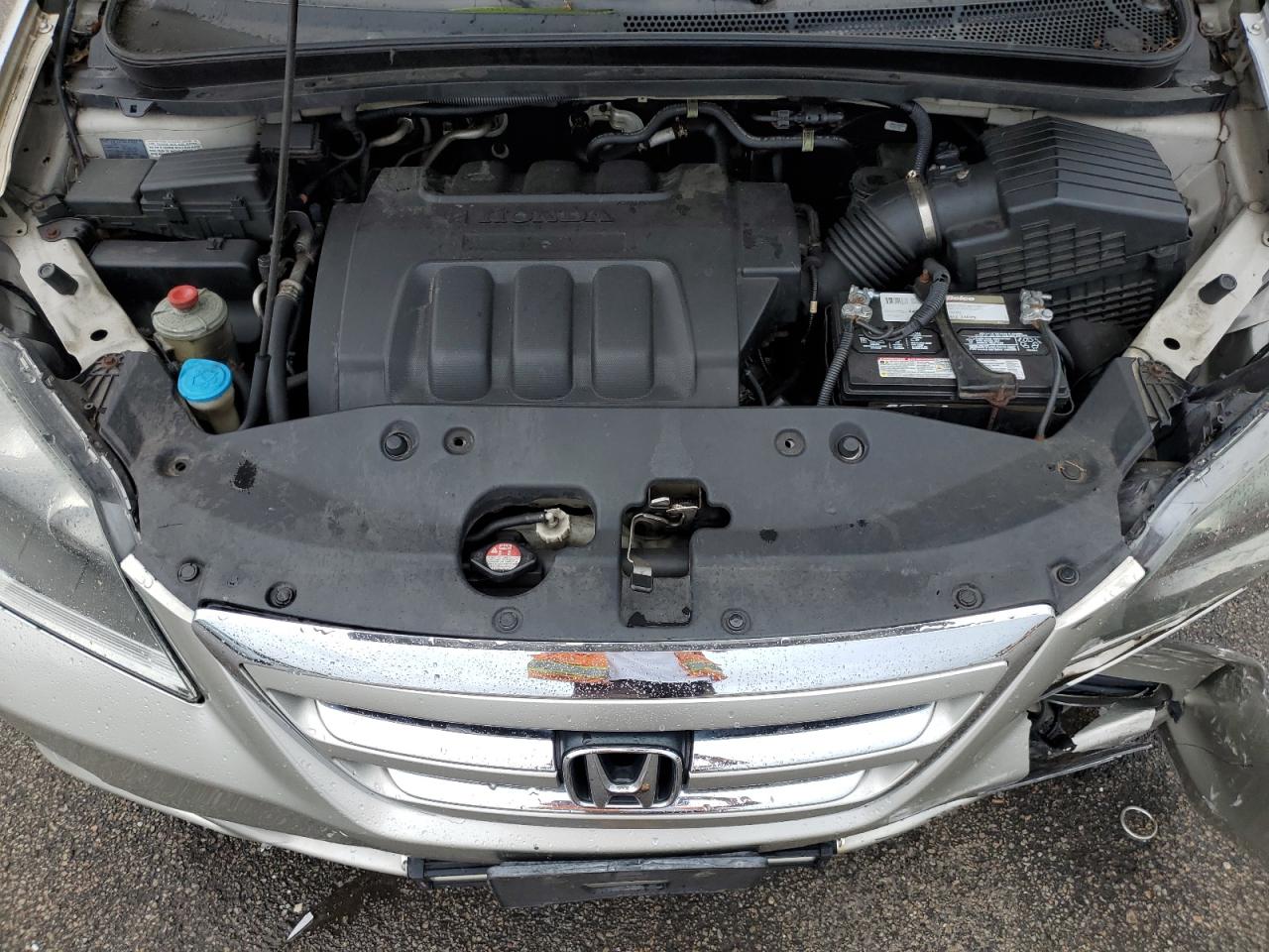 2007 Honda Odyssey Ex VIN: 5FNRL38427B143700 Lot: 60460504