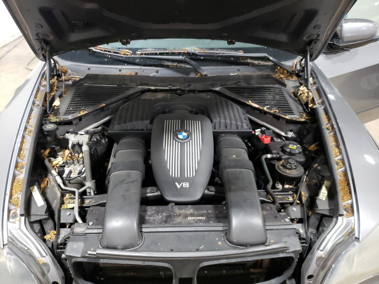 2009 BMW X5 xDrive48I VIN: 5UXFE83559L170723 Lot: 64485804