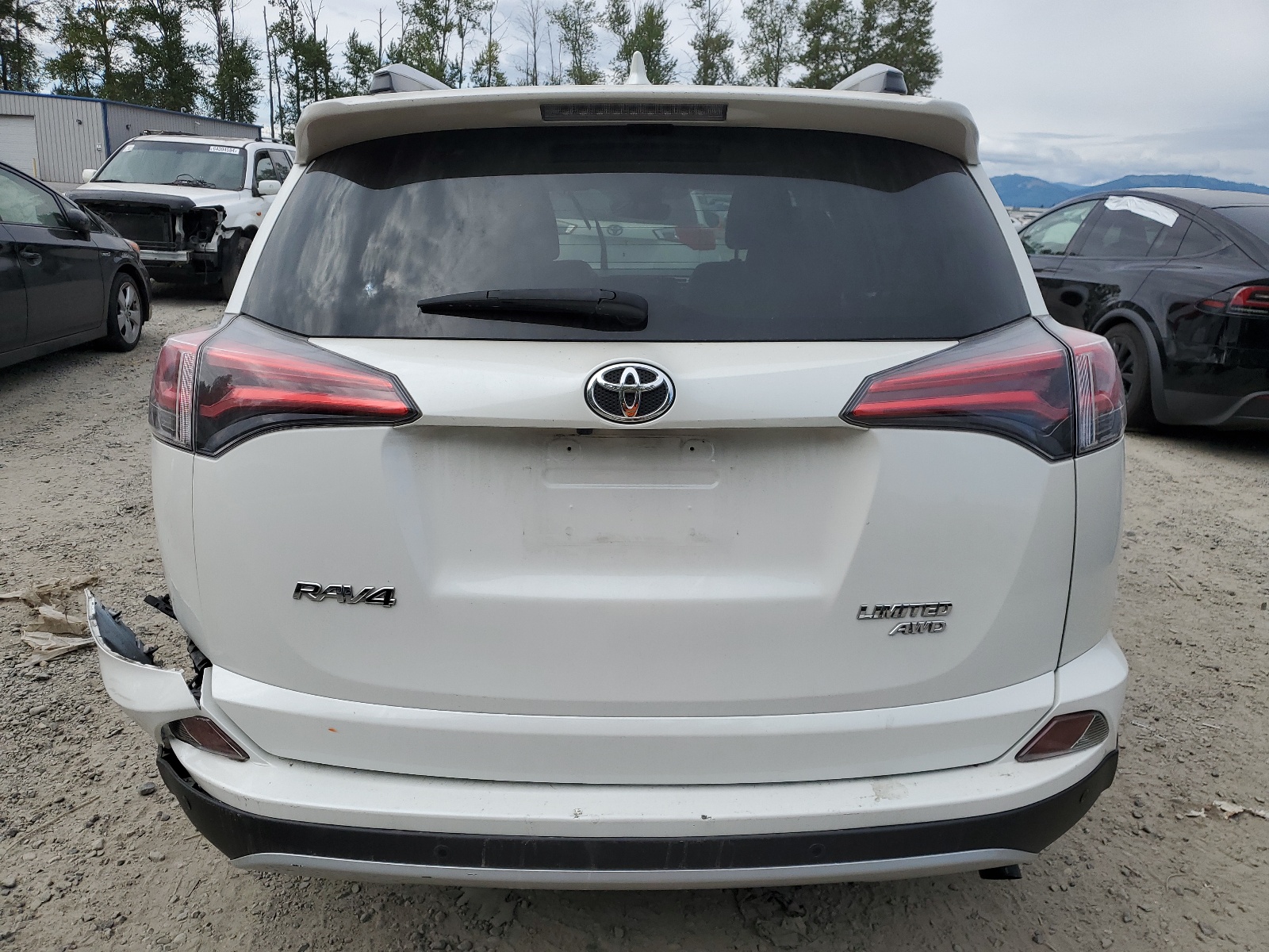 JTMDFREV9GJ075874 2016 Toyota Rav4 Limited