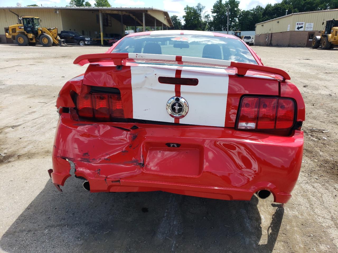 2006 Ford Mustang VIN: 1ZVHT80N165259920 Lot: 63951834