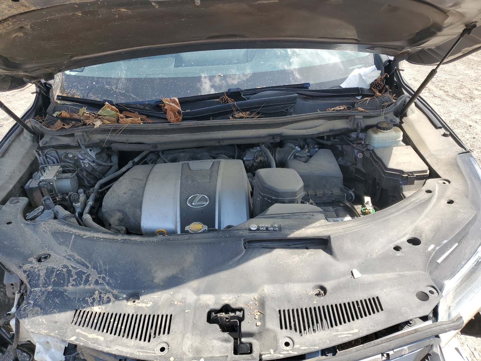 2T2BZMCA1HC056519 2017 Lexus Rx 350 Base