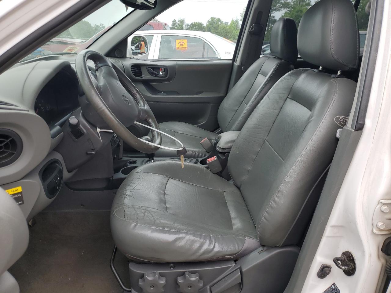 2003 Hyundai Santa Fe Gls VIN: KM8SC13DX3U358302 Lot: 63503174