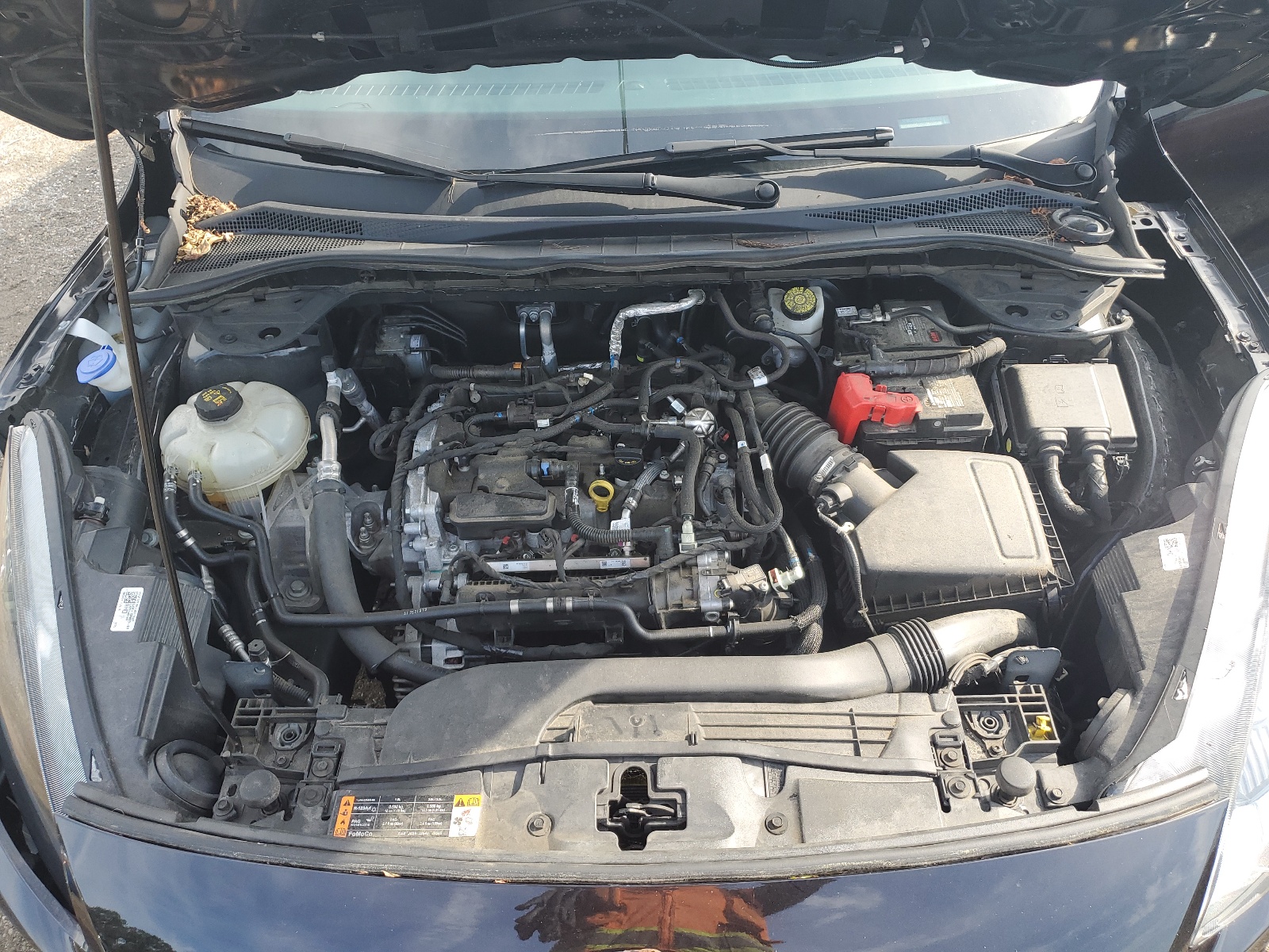 1FMCU9G61MUA98496 2021 Ford Escape Se