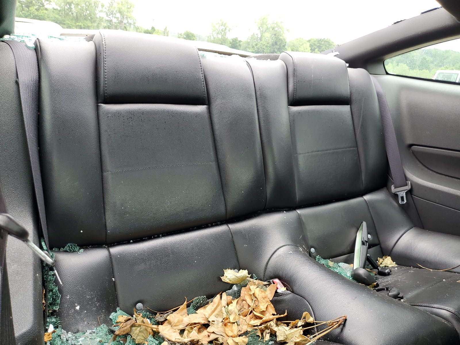 1ZVFT80N065243909 2006 Ford Mustang