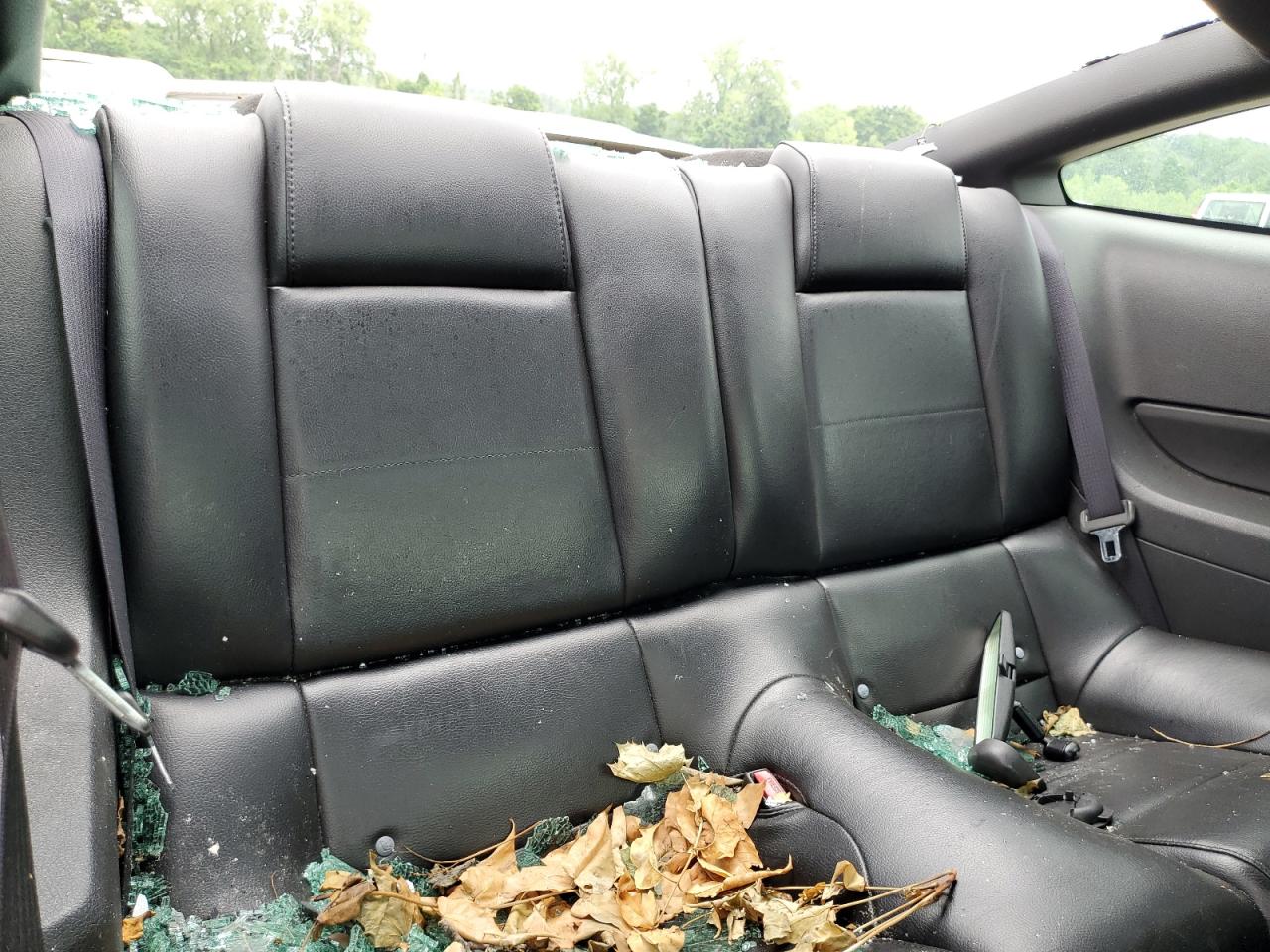 2006 Ford Mustang VIN: 1ZVFT80N065243909 Lot: 61125494