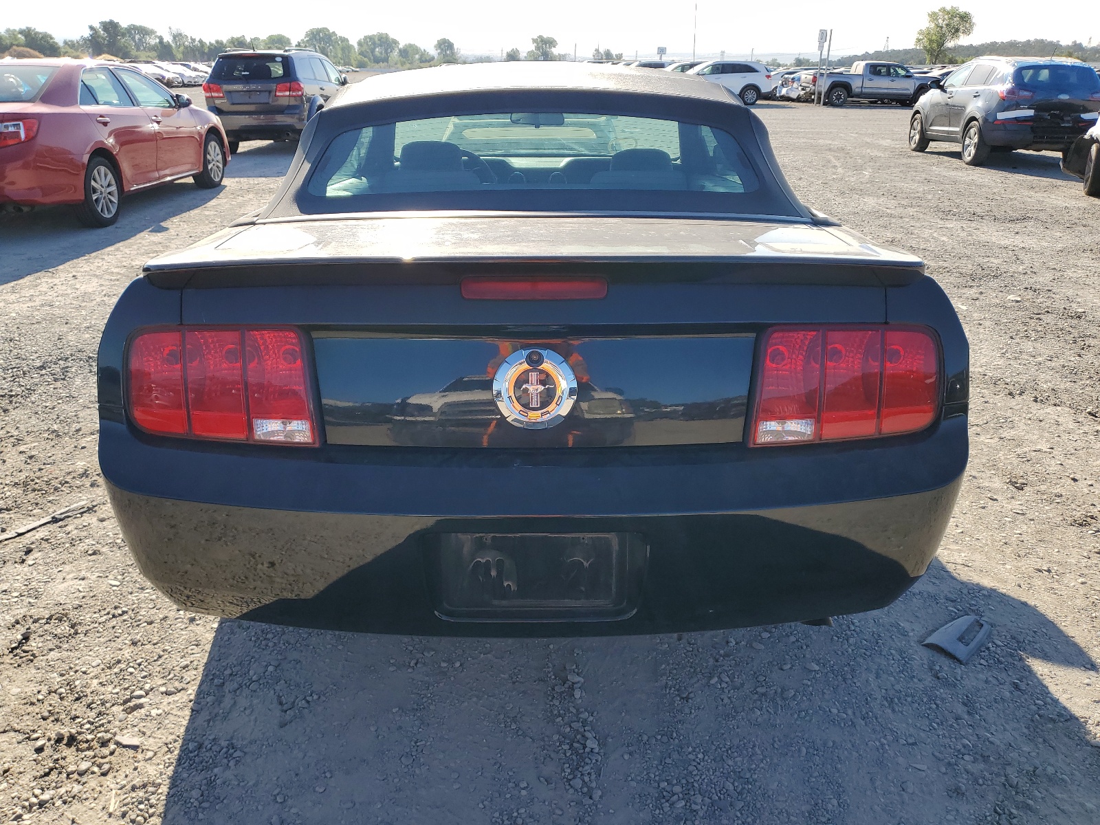 1ZVHT84N885165580 2008 Ford Mustang