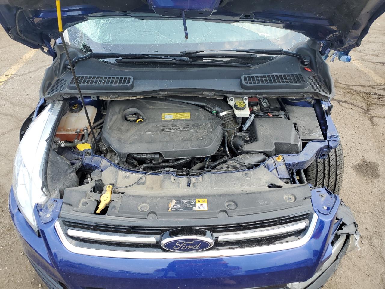 2013 Ford Escape Sel VIN: 1FMCU0HX1DUA99828 Lot: 63878384