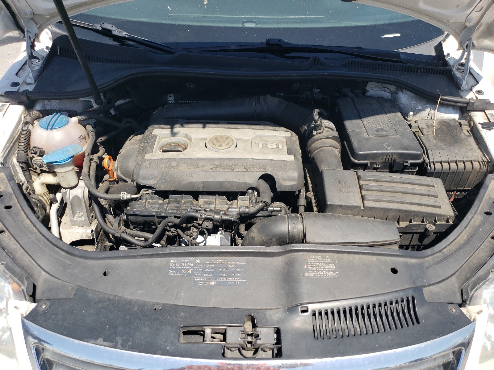 WVWBA71F69V015376 2009 Volkswagen Eos Turbo