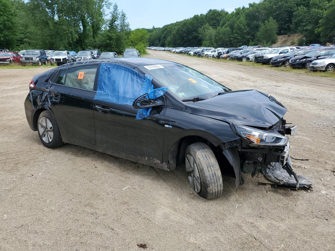 KMHC65LC9KU166667 2019 Hyundai Ioniq Blue