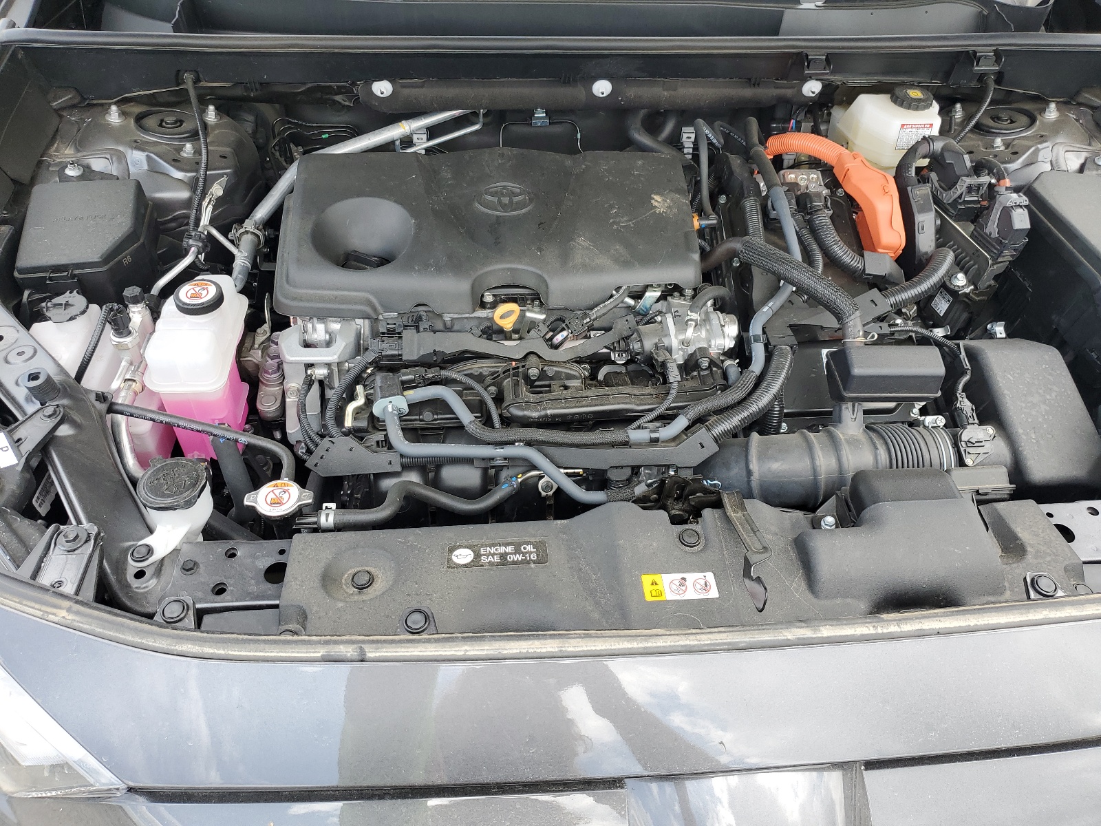 2T3E6RFV2RW049107 2024 Toyota Rav4 Xse