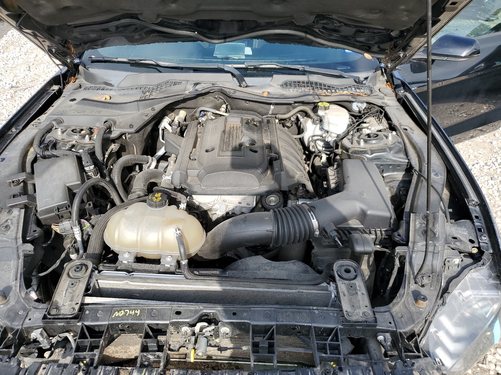 1FA6P8TH2J5171851 2018 Ford Mustang