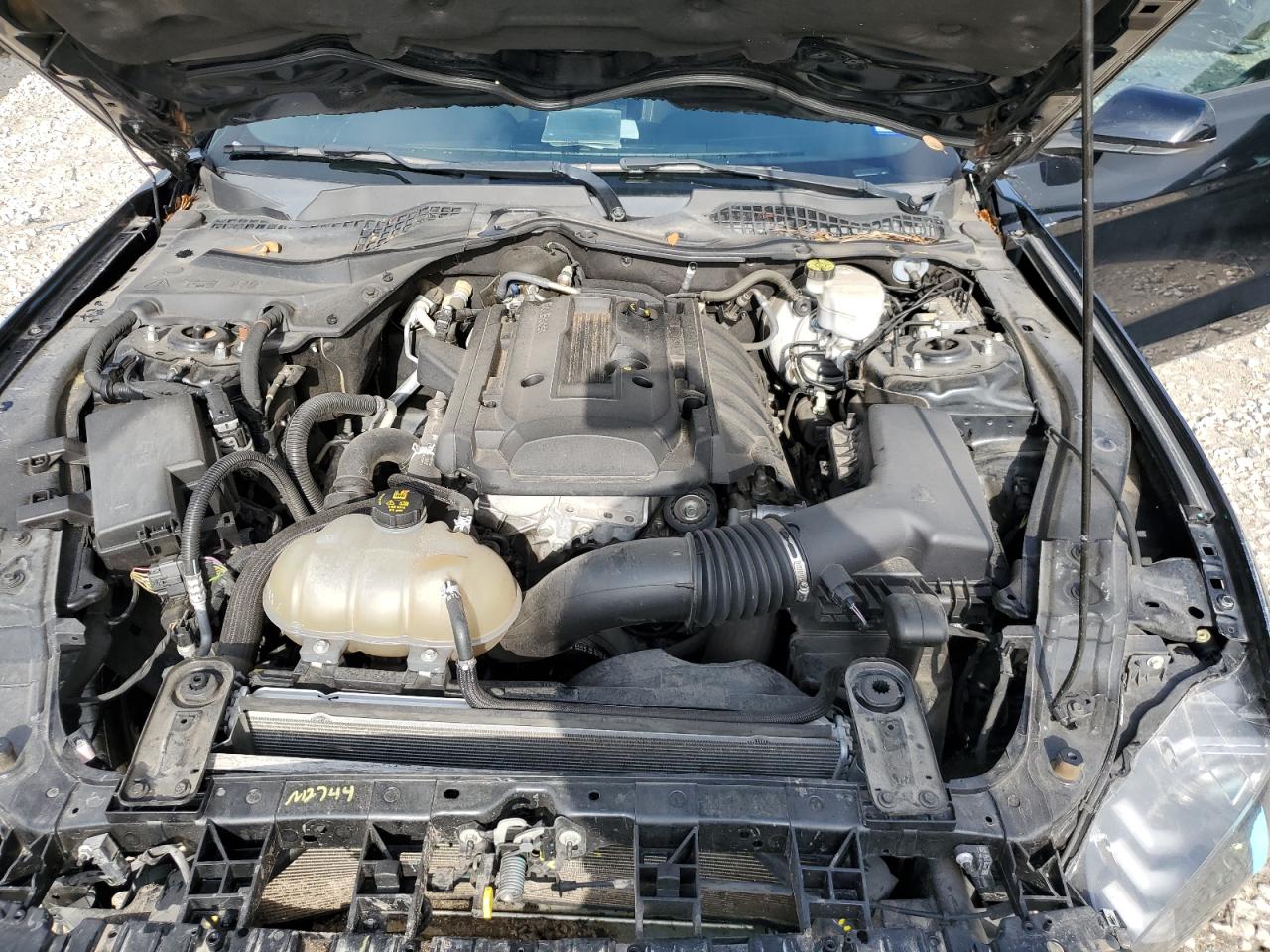 2018 Ford Mustang VIN: 1FA6P8TH2J5171851 Lot: 64445984