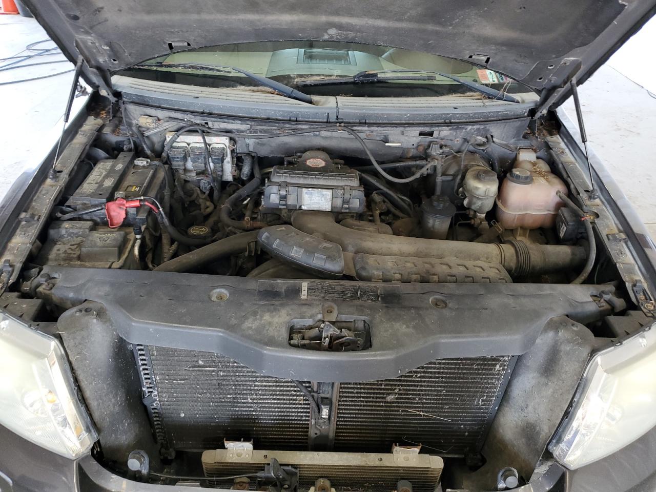 2005 Ford F150 Supercrew VIN: 1FTPW14565KF12317 Lot: 64648734