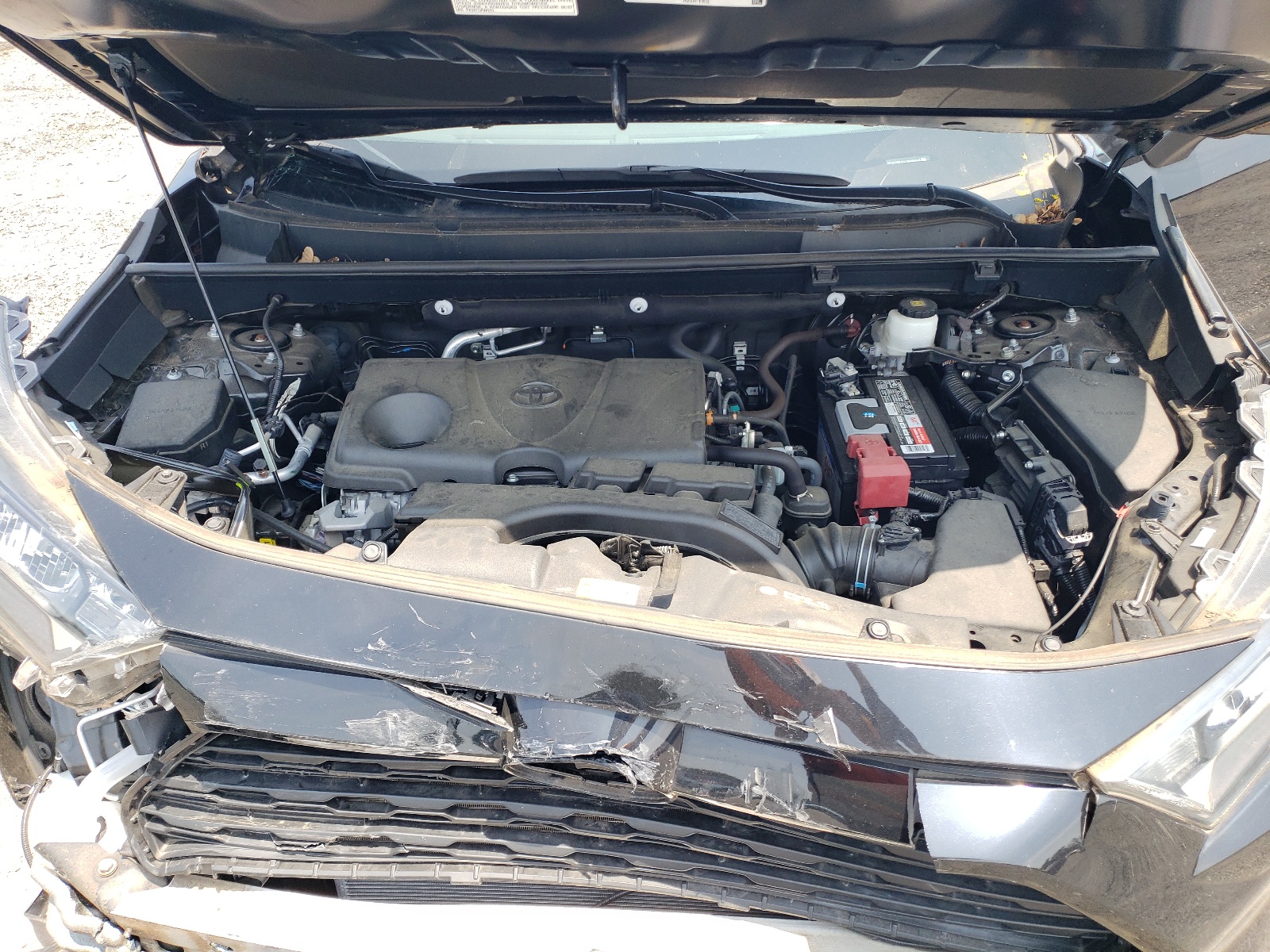 2T3G1RFV4LW085640 2020 Toyota Rav4 Le