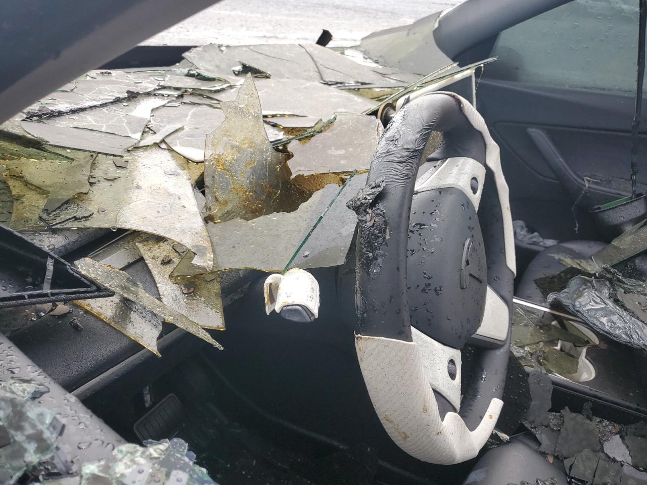 2021 Tesla Model Y VIN: 5YJYGDEE1MF180283 Lot: 62194834