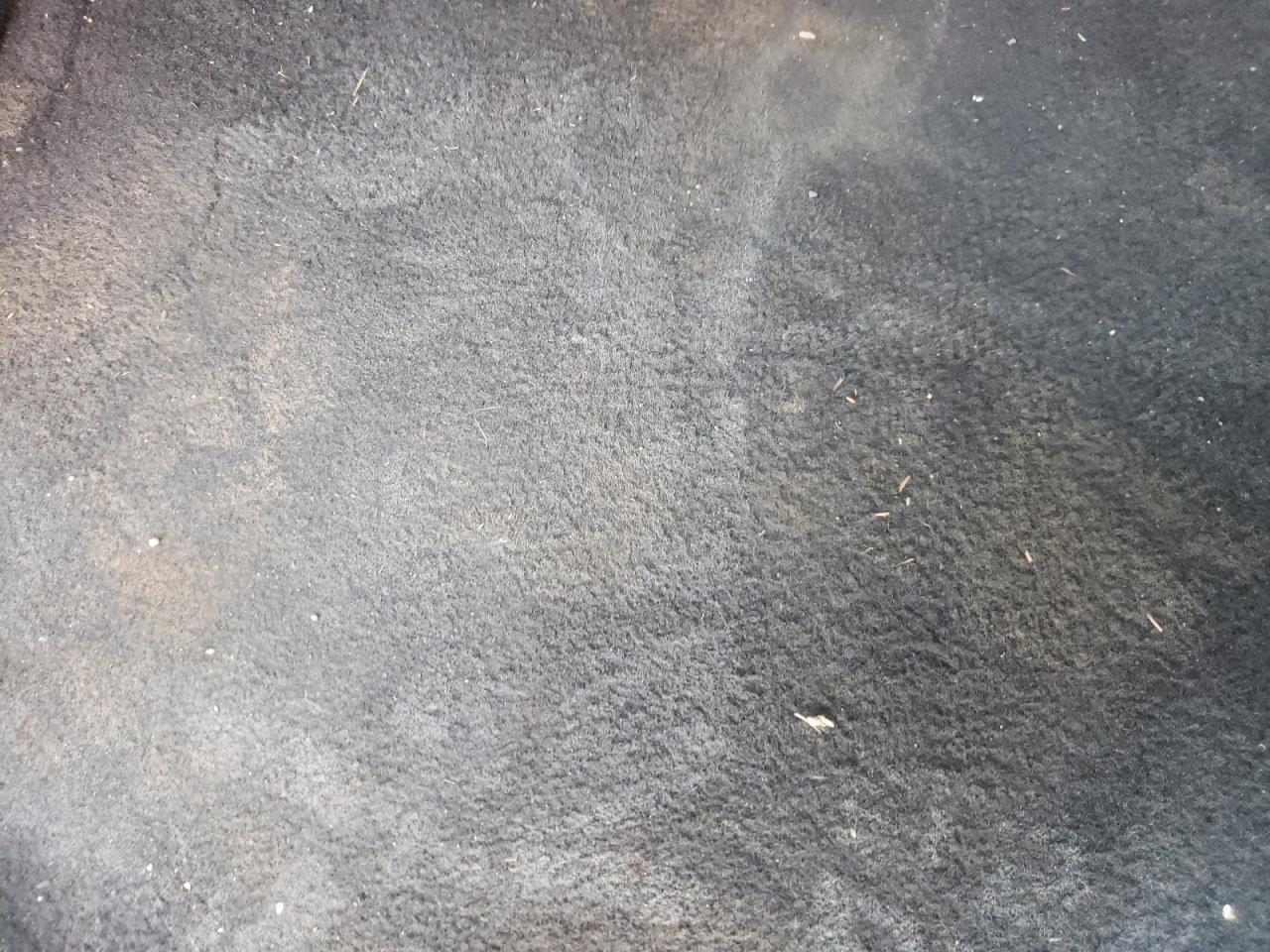 2006 Nissan Murano Sl VIN: JN8AZ08T76W422205 Lot: 65394504