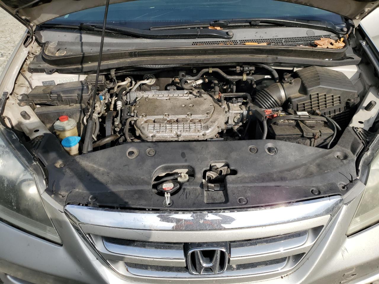 2007 Honda Odyssey Exl VIN: 5FNRL38677B432377 Lot: 61982694