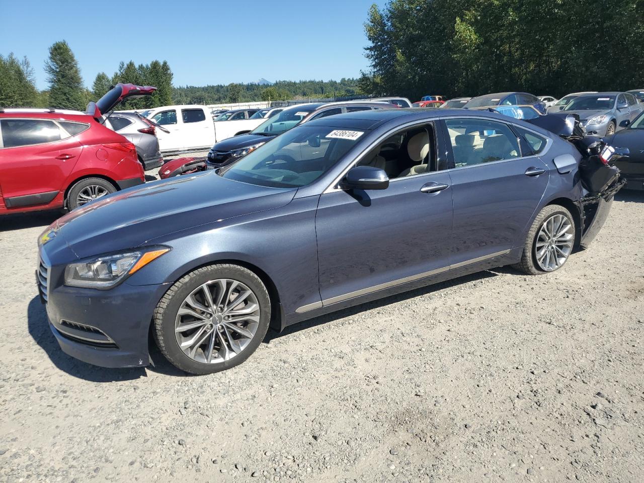 2015 Hyundai Genesis 3.8L VIN: KMHGN4JE4FU062287 Lot: 64386104