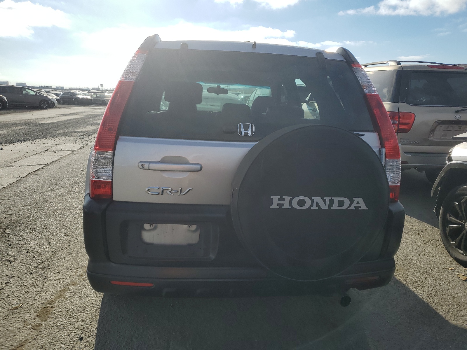 JHLRD68806C028397 2006 Honda Cr-V Ex