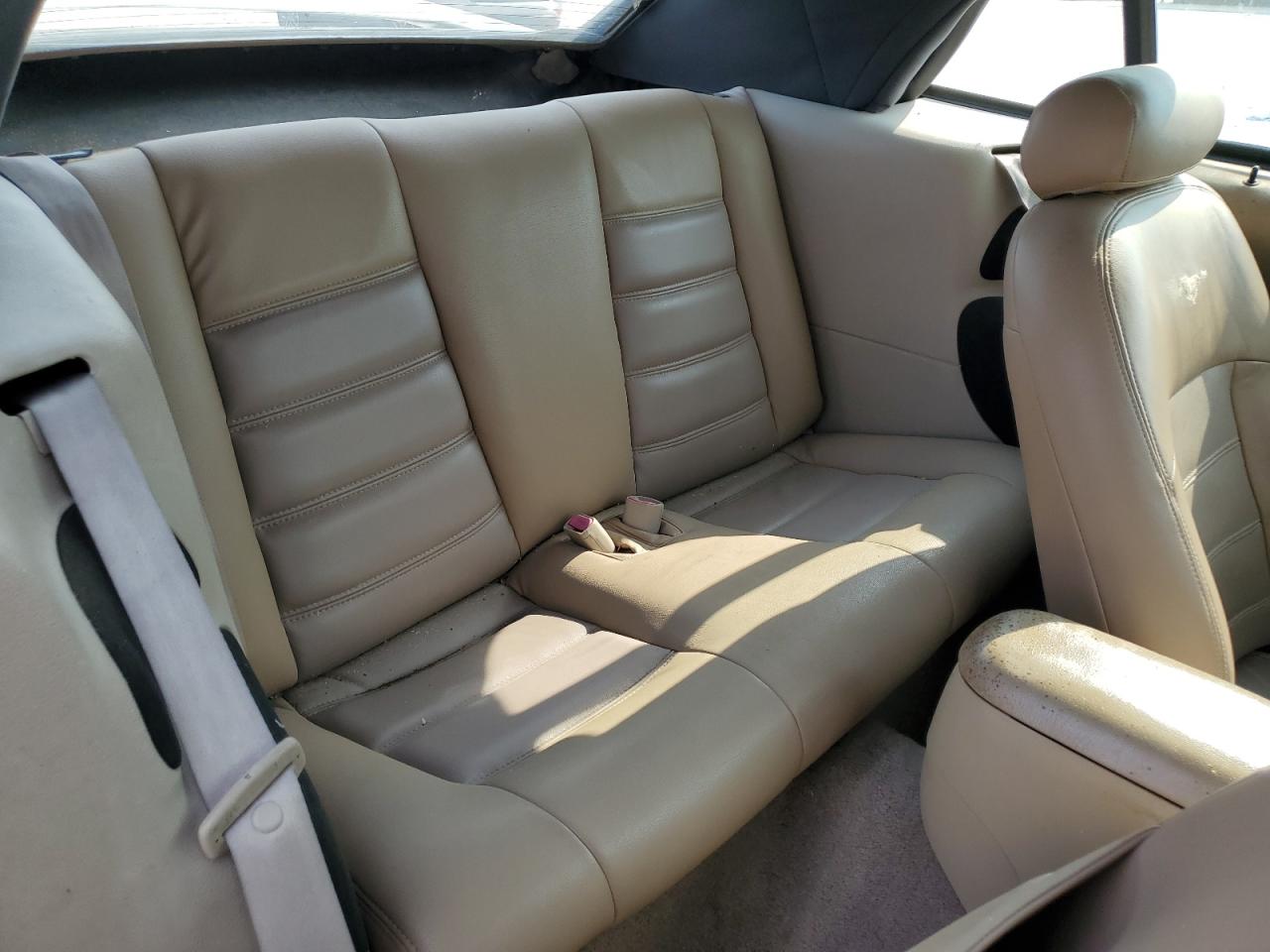 2000 Ford Mustang VIN: 1FAFP4445YF116576 Lot: 64089444