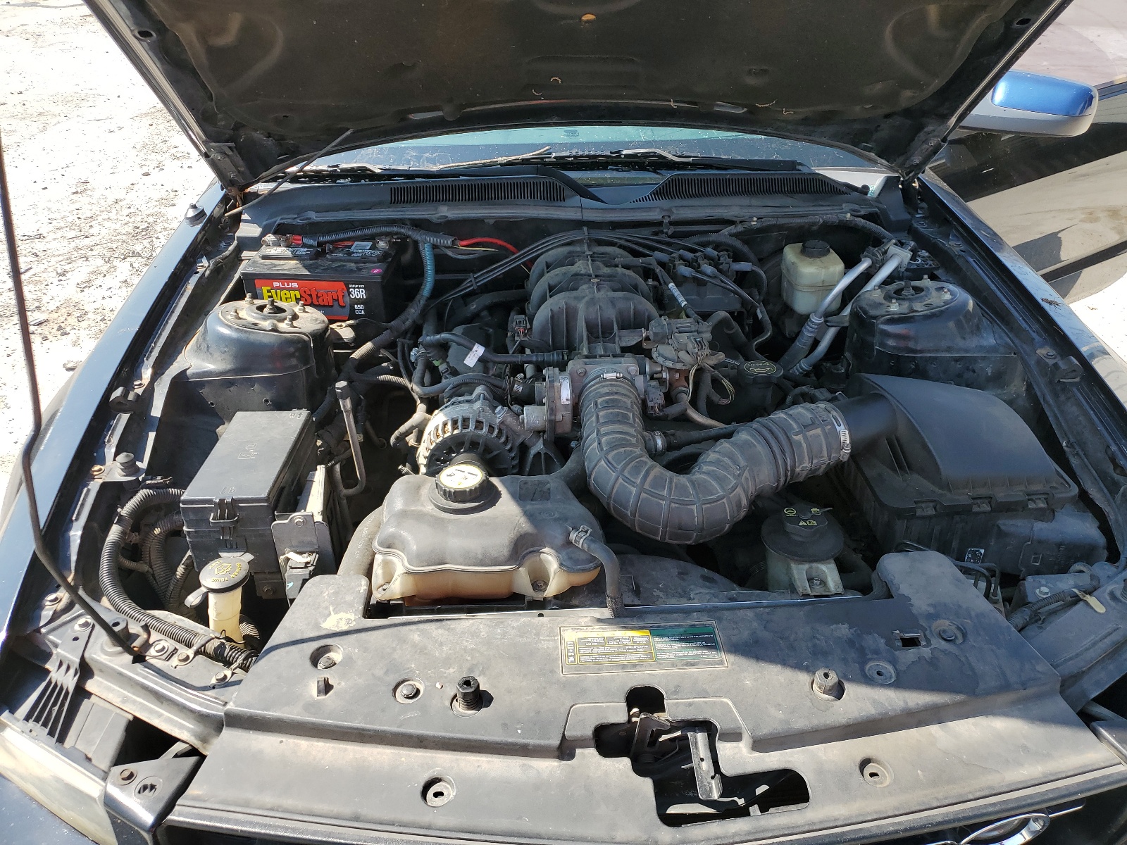 1ZVHT80N075279383 2007 Ford Mustang