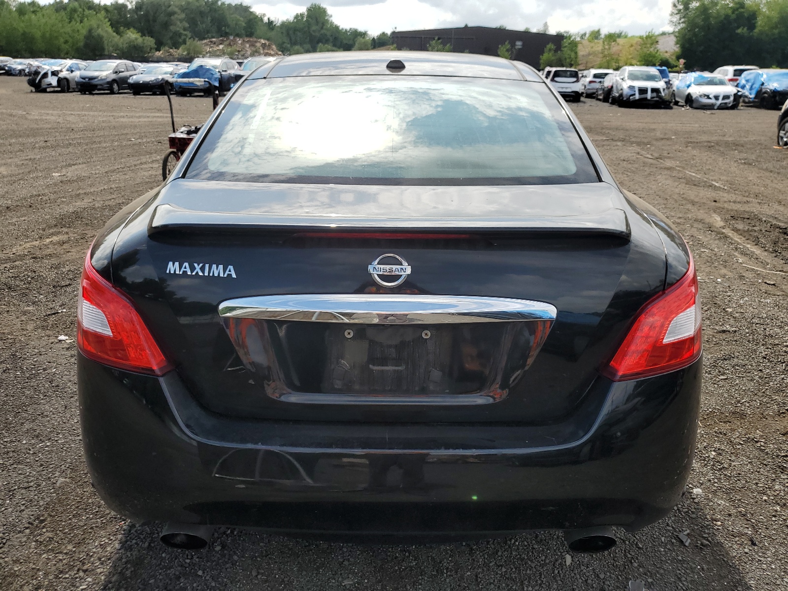 1N4AA5AP5AC817805 2010 Nissan Maxima S