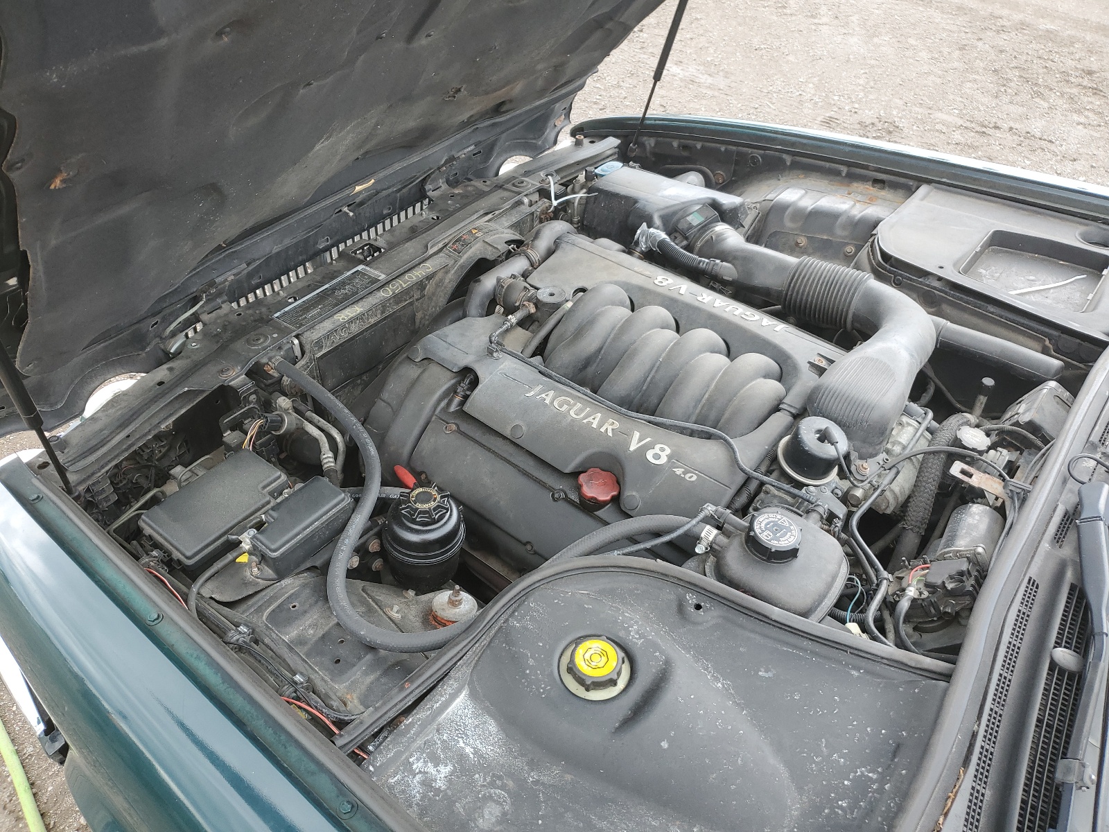 SAJKN6243WC834124 1998 Jaguar Vandenplas