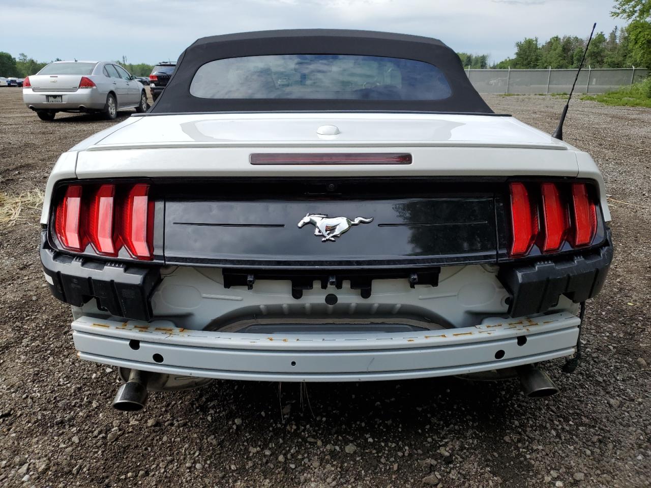 2020 Ford Mustang VIN: 1FATP8UH1L5148713 Lot: 62186364