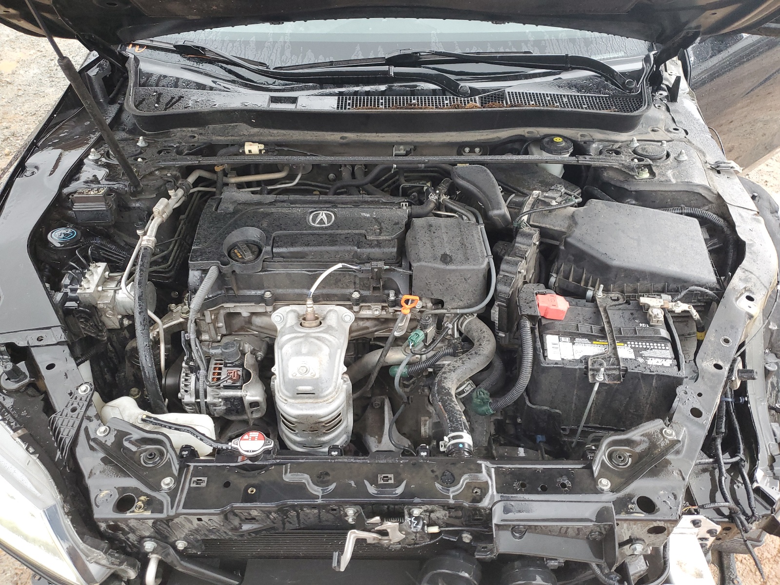 19UUB1F31FA020071 2015 Acura Tlx