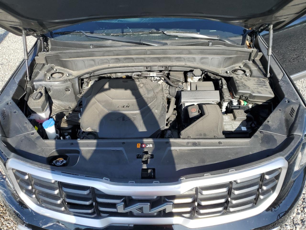 2023 Kia Telluride S VIN: 5XYP6DGC3PG367158 Lot: 63386644