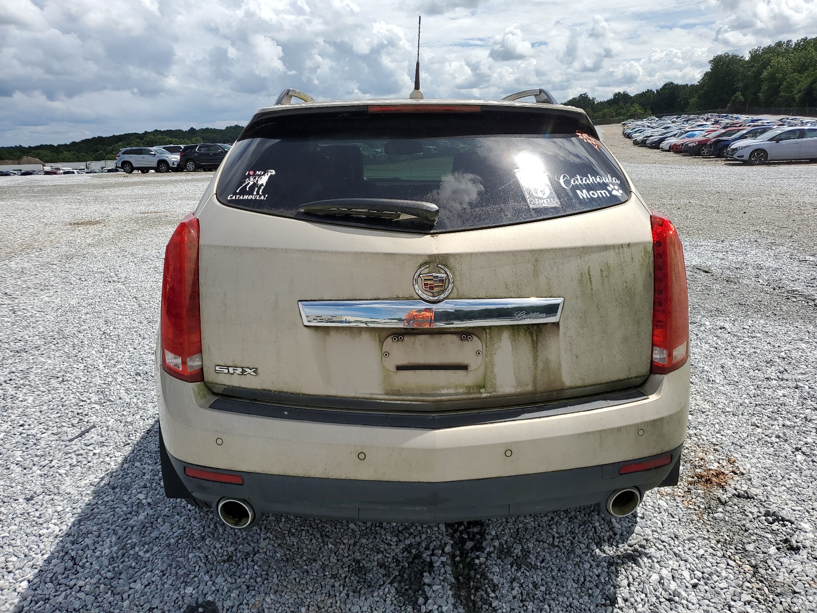 3GYFNAEYXBS576510 2011 Cadillac Srx Luxury Collection
