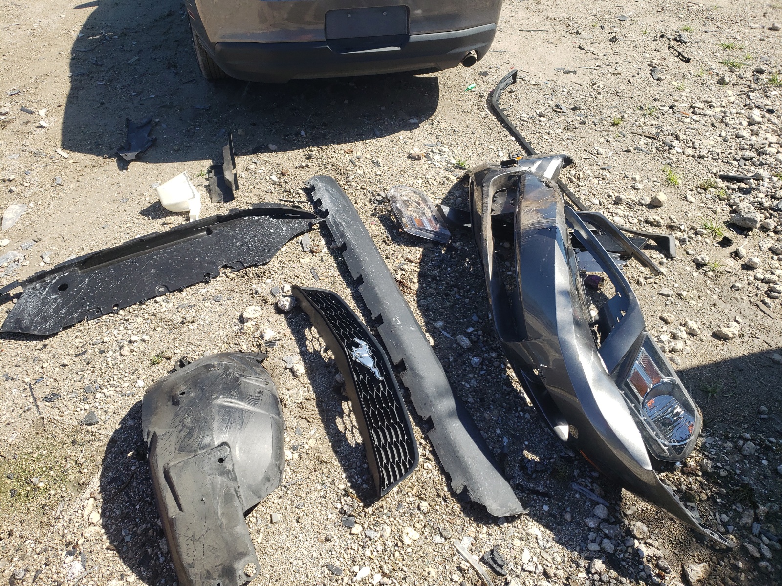 1ZVBP8EN3A5122439 2010 Ford Mustang