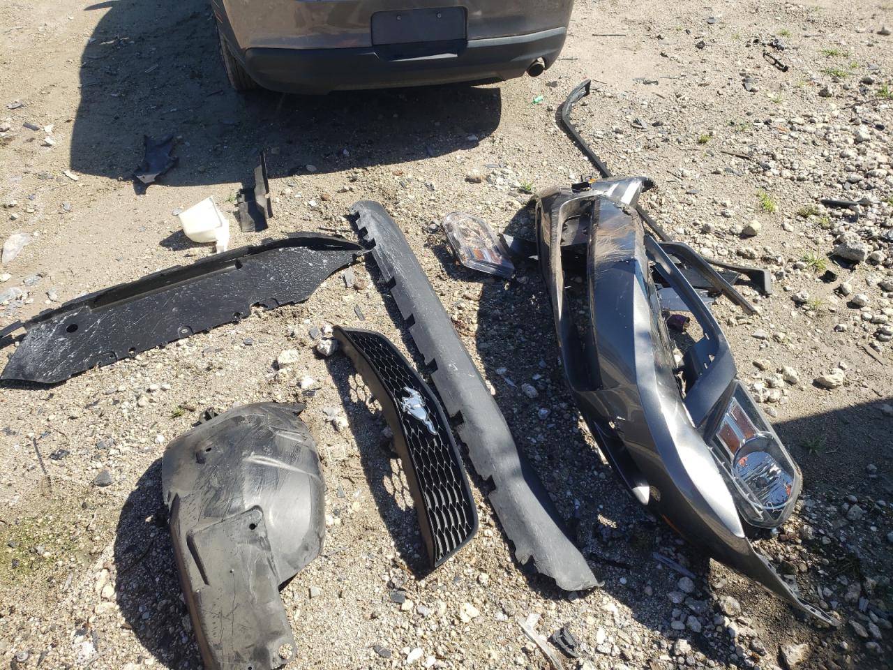 2010 Ford Mustang VIN: 1ZVBP8EN3A5122439 Lot: 63478744