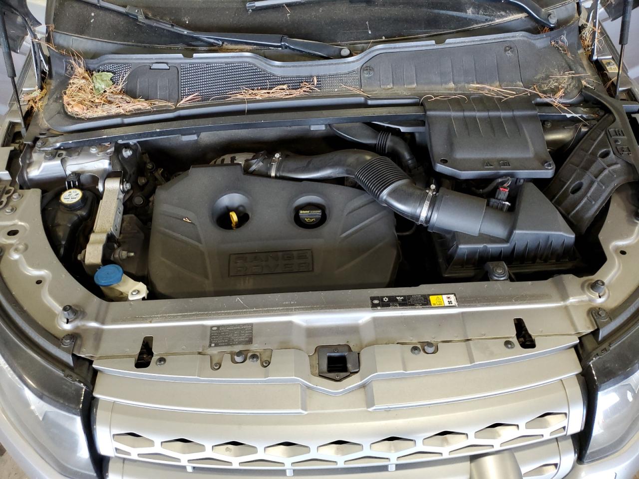 2013 Land Rover Range Rover Evoque Pure Plus VIN: SALVP2BG3DH834884 Lot: 64951884