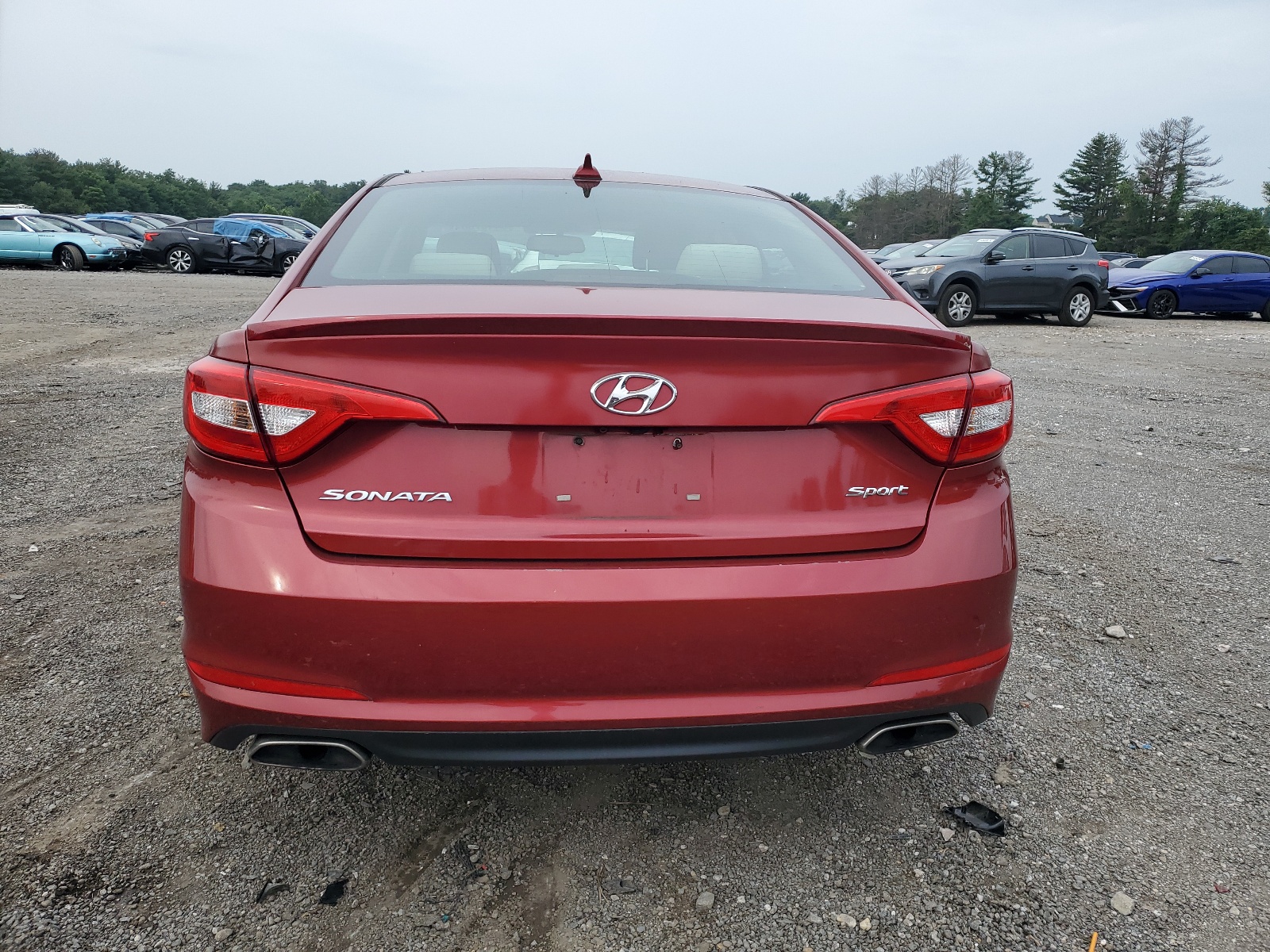 5NPE34AF1GH335384 2016 Hyundai Sonata Sport
