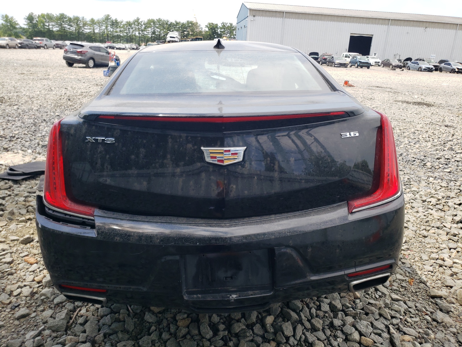 2G61M5S30K9148111 2019 Cadillac Xts Luxury