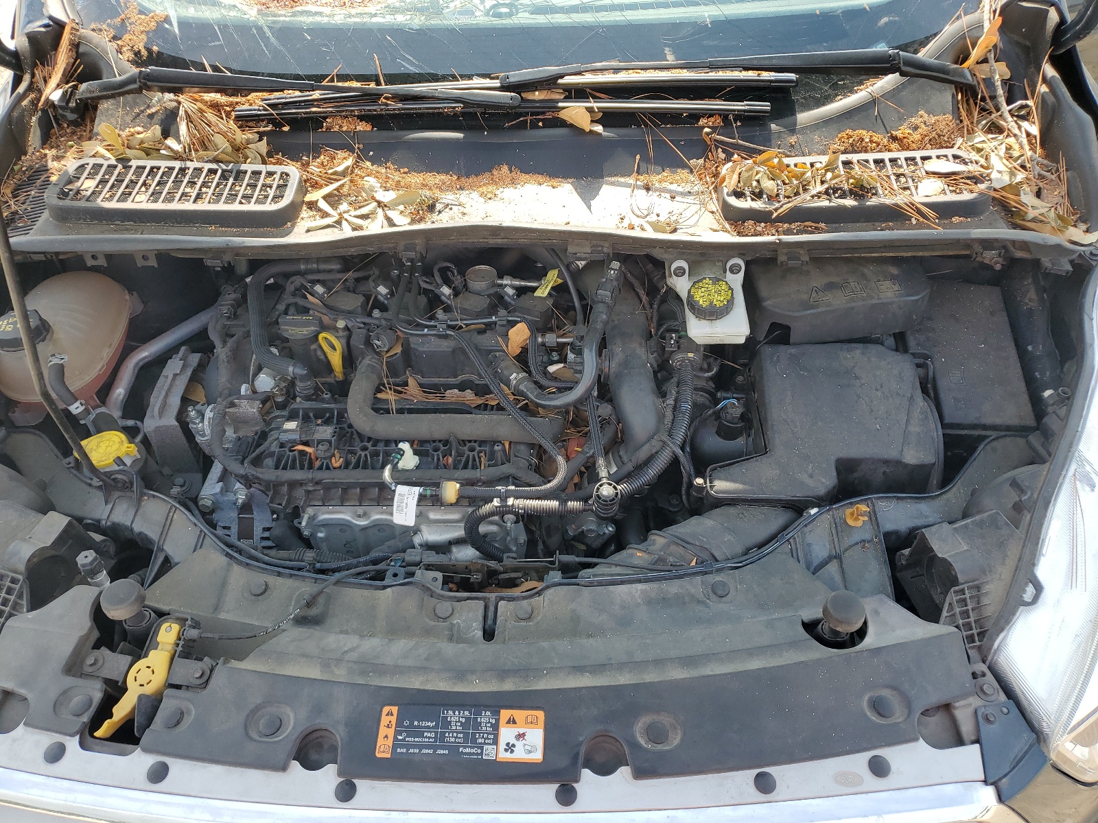 1FMCU0GD2KUB57238 2019 Ford Escape Se