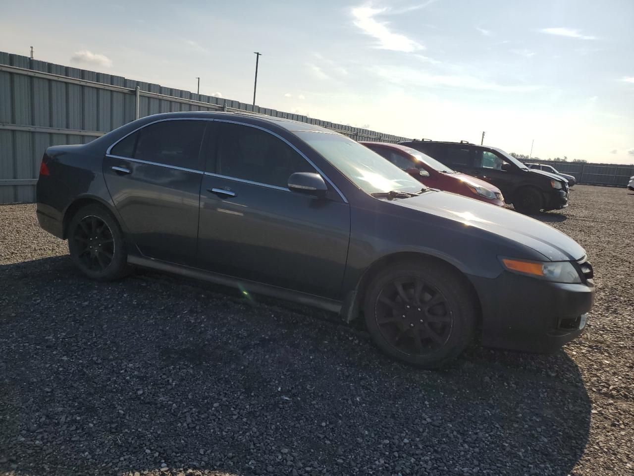 2007 Acura Tsx VIN: JH4CL96877C800002 Lot: 62696854