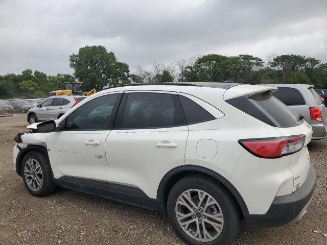  FORD ESCAPE 2022 White