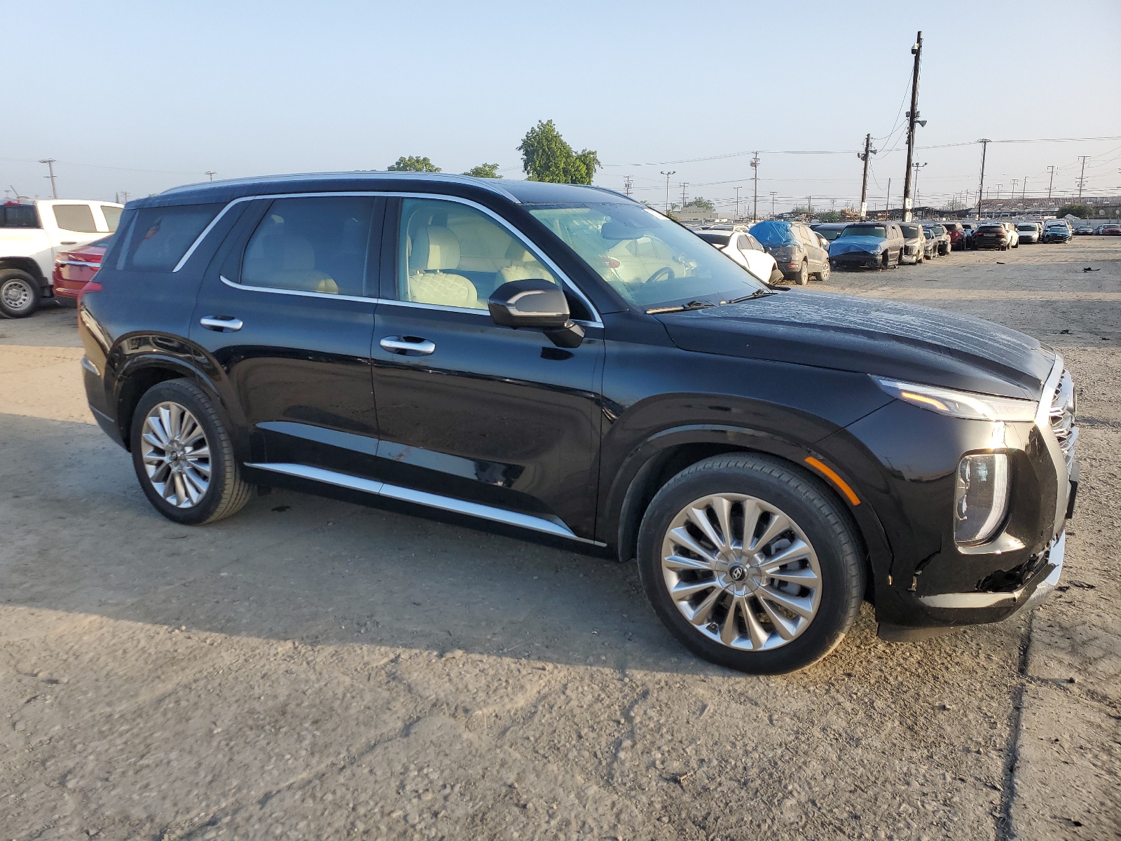 2020 Hyundai Palisade Limited vin: KM8R54HEXLU146916