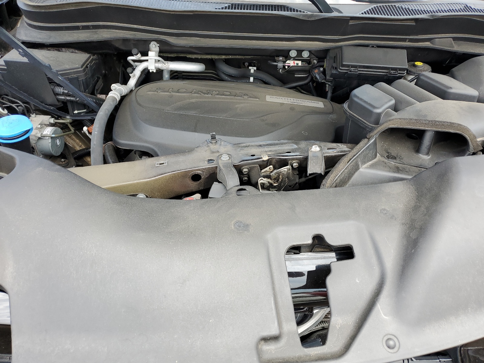 5FNYF8H51KB028880 2019 Honda Passport Exl